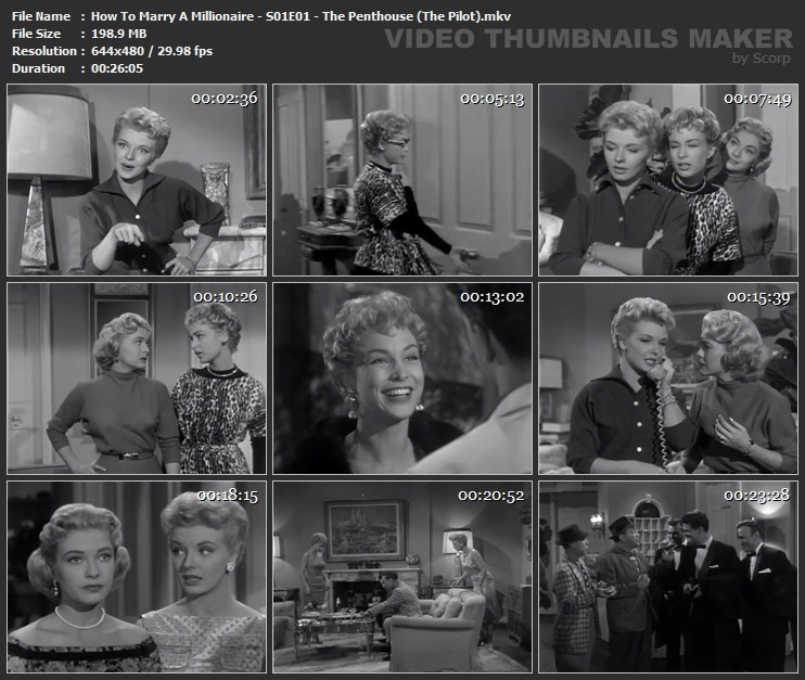 How To Marry A Millionaire - S01E01 - The Penthouse (The Pilot).mkv