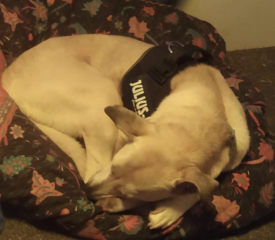 F2DADC5D-8A94-4B52-9D73-4F1A85149C92