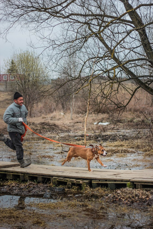 без имени-0187