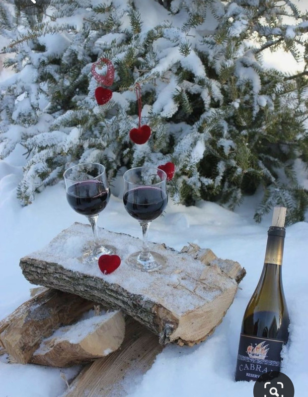 Screenshot_20230616_183257_Pinterest