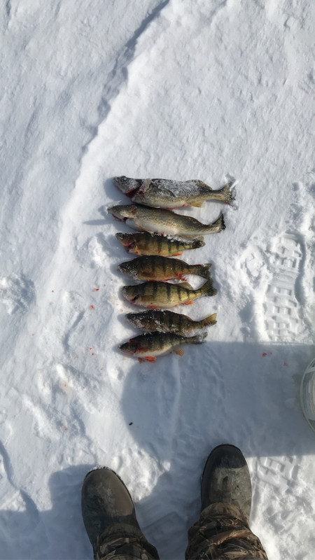 50801BCC-7463-468E-97BE-8C7E2B88C998