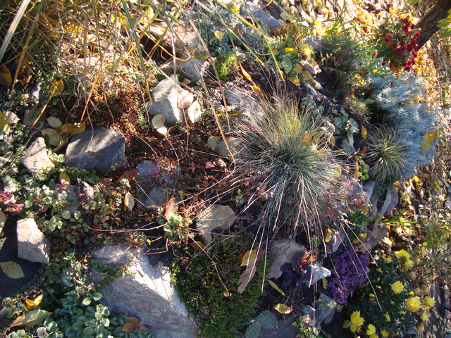DSC06020