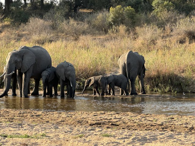 [Linked Image from i.postimg.cc]