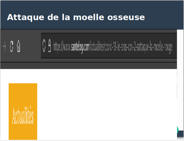 Screenshot-20241026-100018.png
