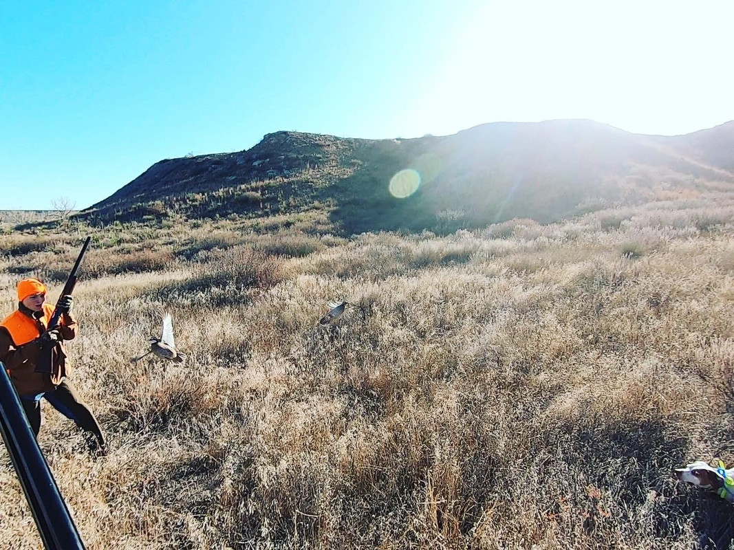 CEA9FE52-0578-4CF3-8490-4C98471D3511