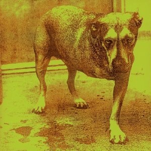 Re: ALICE IN CHAINS