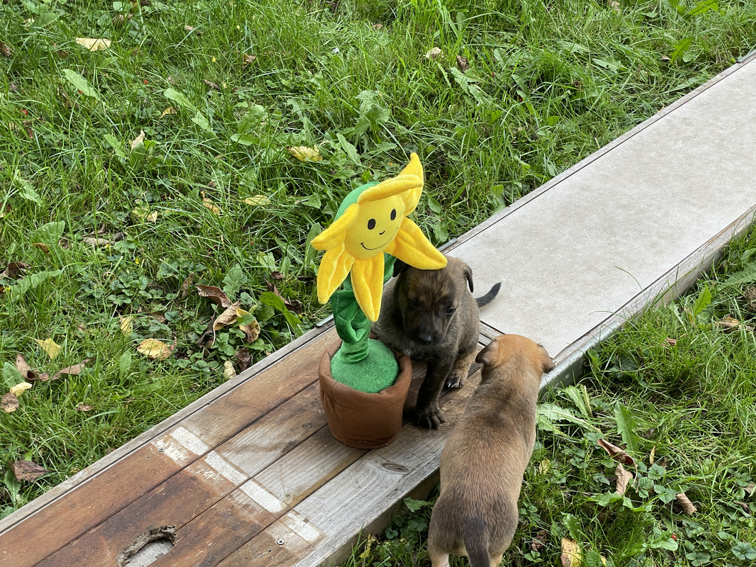 A0F25FFA-A6B4-4885-9C1D-CDC660D02845