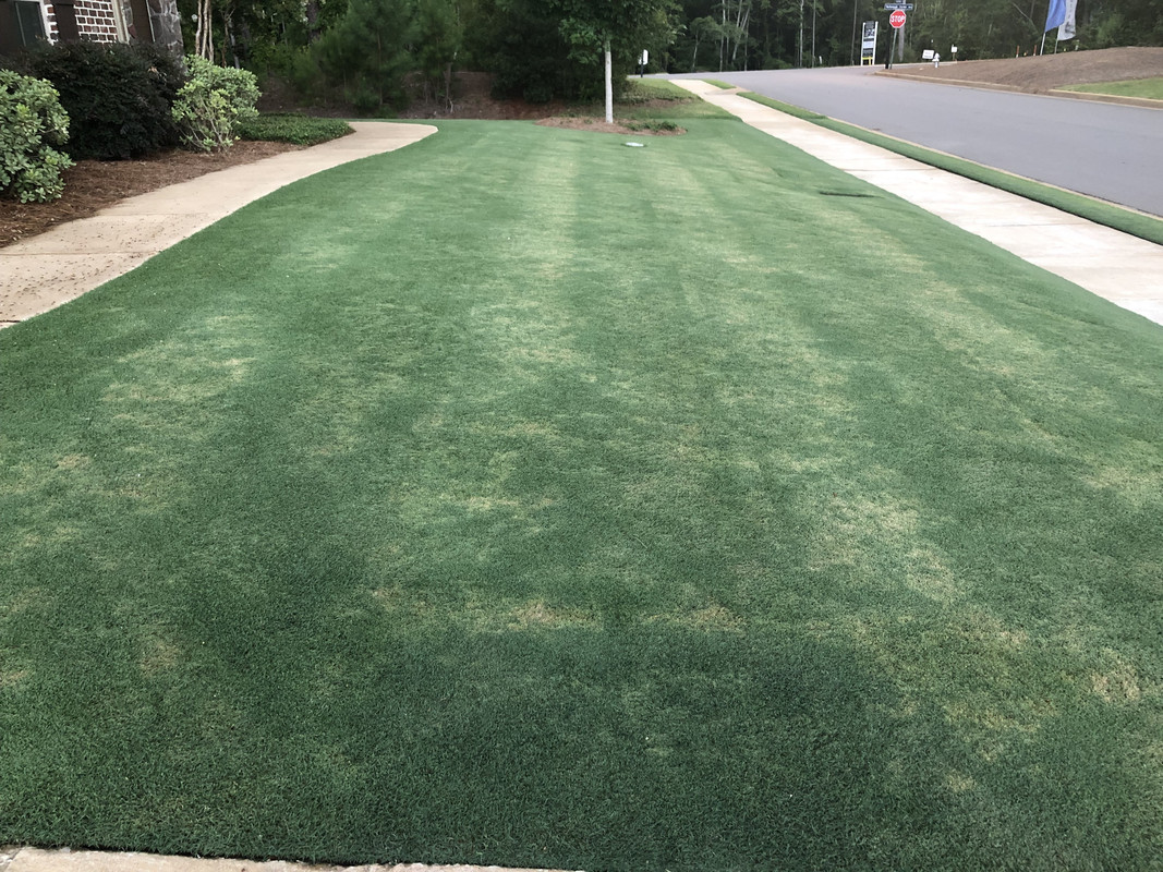 3503996D-13C0-48C8-B376-A33C0ED26F78