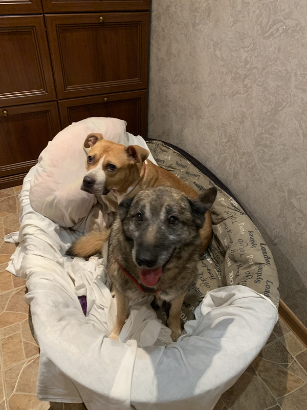 45B95C35-3638-4900-BF3C-3A4A6D26FA90