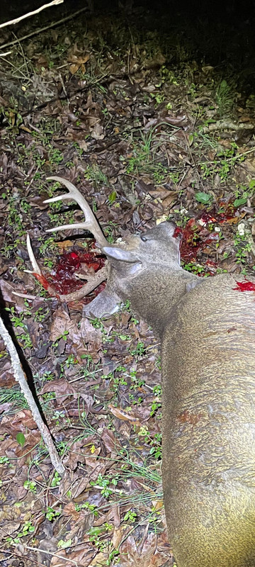 Screenshot 20251202 175802 Messages