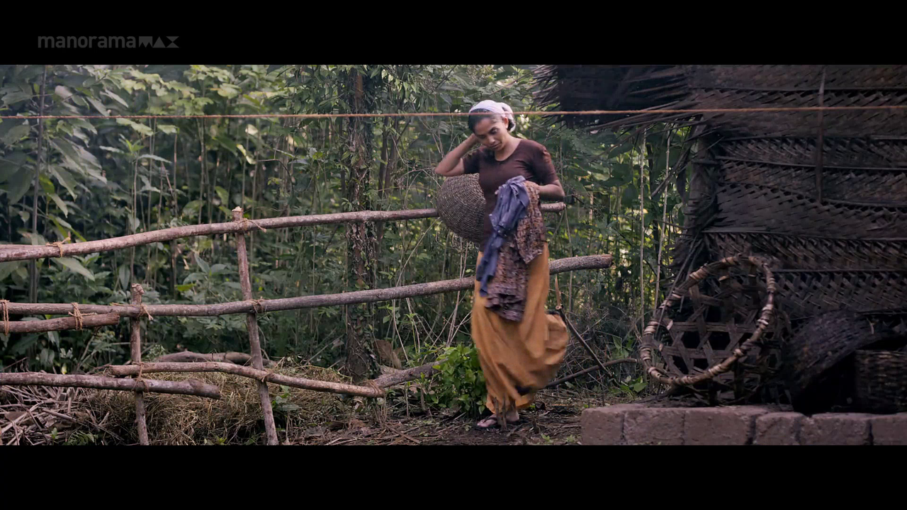 vlcsnap 2026 02 06 18h03m51s318