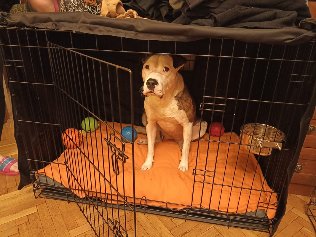 E97C11FD-AEE7-4468-A51B-1B5484218E45