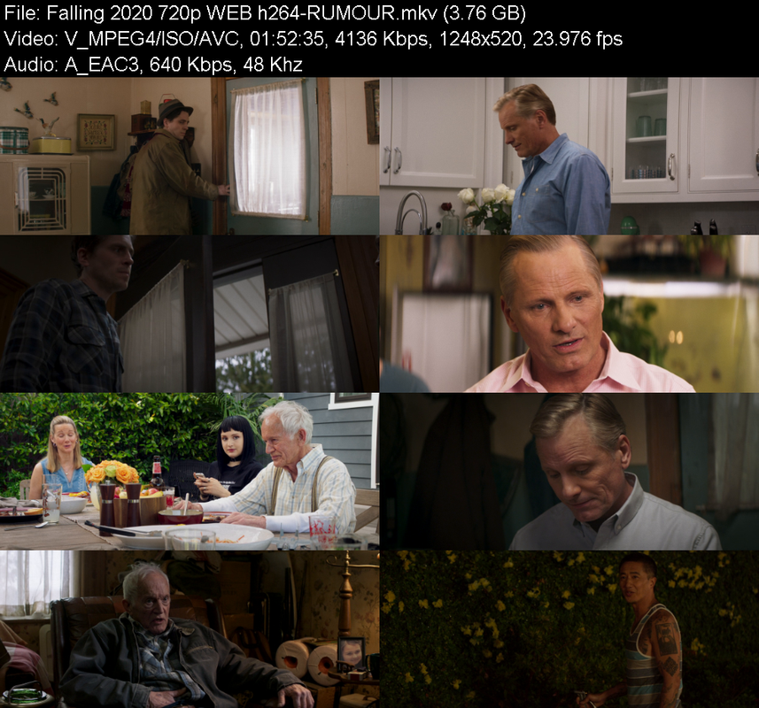 falling-2020-720p-web-h264-rumour.png