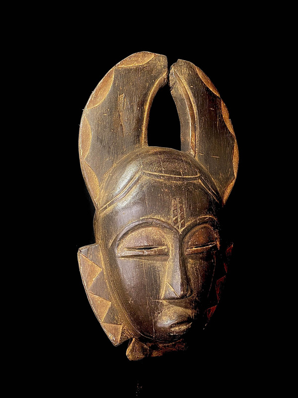 large image 4