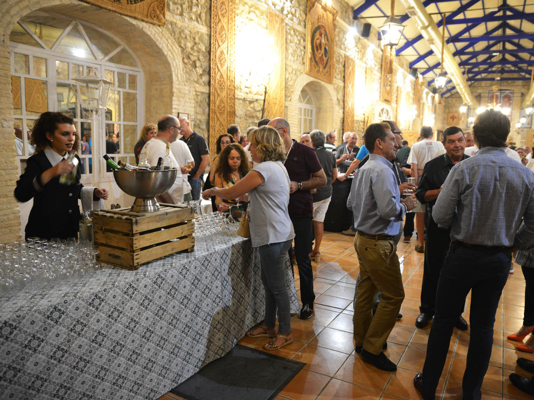 XVII Kedada Deauvillera (170)a