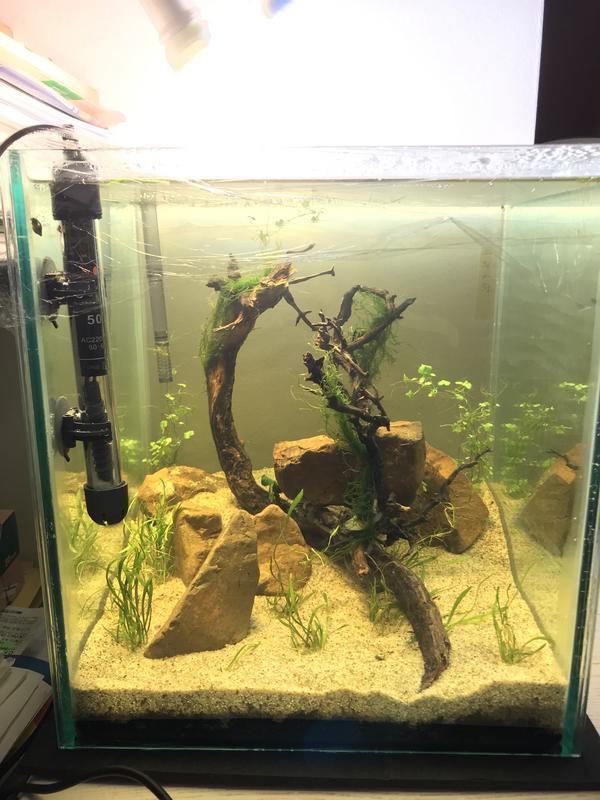 E06E4089-C55C-4C47-81E4-D2B8B0E790C0