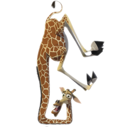 giraffe_upsidedown