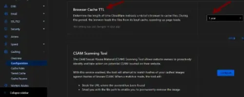 Check Cloudflare Caching Settings