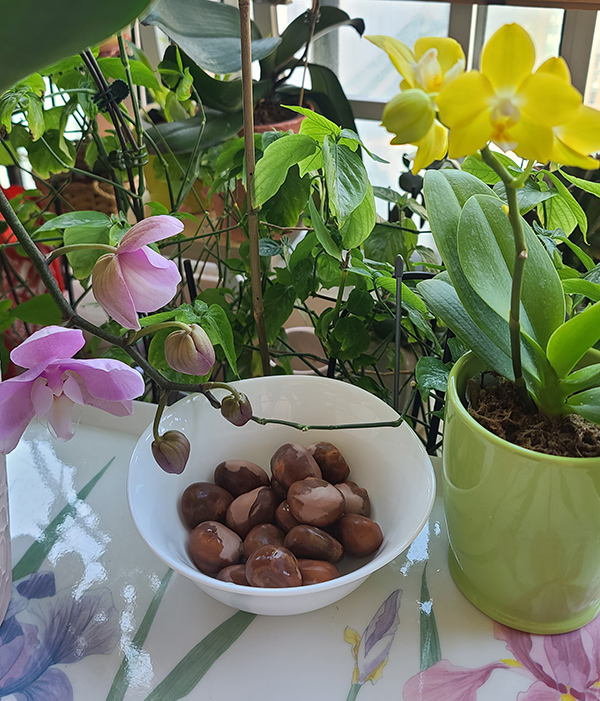 [Image: 20240514-171203.jpg]