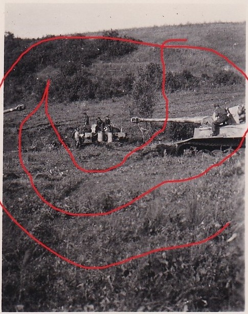 WW2 Foto DR Elitesoldaten Das Reich Panzer Tiger Kursk Sommer 1943 Camo Tarn v1 257266420792 0 01