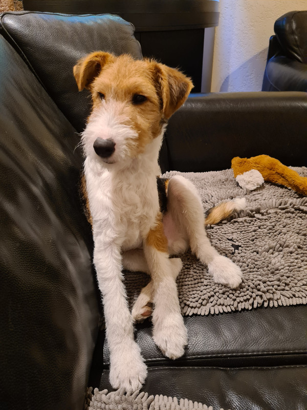 7A96FCED-A9A4-4C7C-961A-B847F8277517