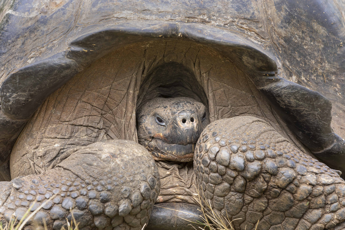 120A5058 Personal Hidey Hole