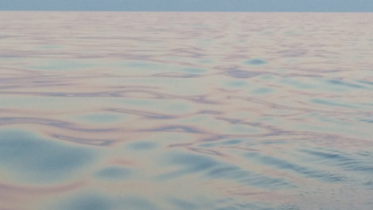 IMG_20160825_201209519 (2)