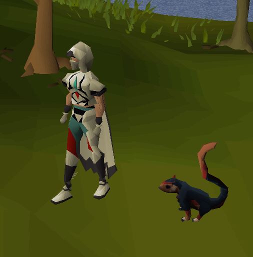 [ 25 DONOR ] Selling 89 agility account (Full Graceful/Pet Squirrel