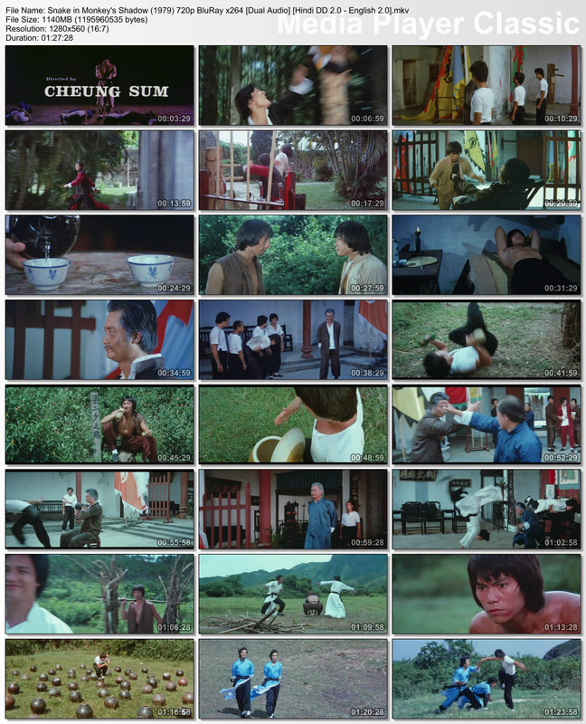 Snake in Monkeys' Shadow (1979) 720p Thumbs