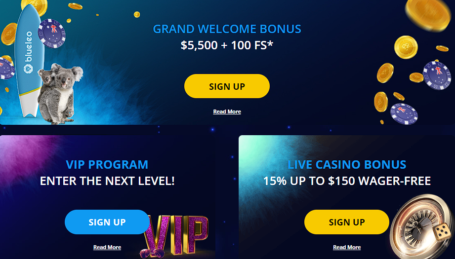 Reviewing BlueLeo Casino's bonuses system in relation to industry security standards