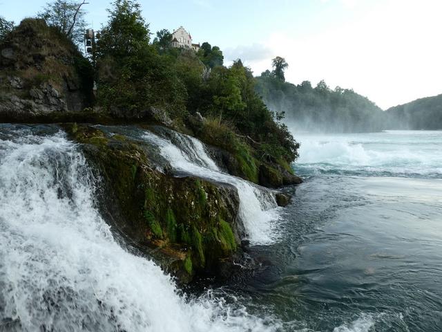ALSACIA, LAGO CONSTANZA Y SELVA NEGRA - Agosto 2017 - Blogs de Europa Central - Día 4- Campus Vitra y Cataratas del Rin (16)