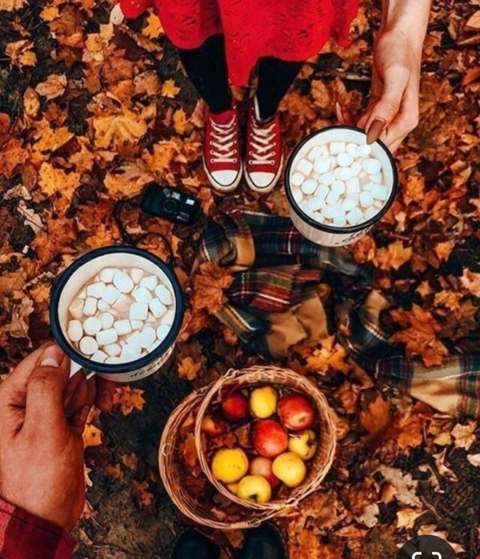 Screenshot_20231127_223153_Pinterest