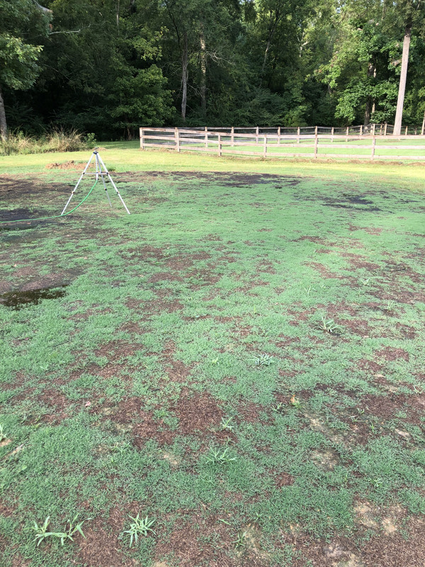 4FB48EB3-3837-497F-BC37-FD2A1A304AF8