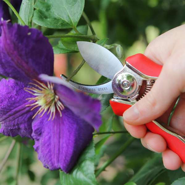 Foarfeca de Gradina 3