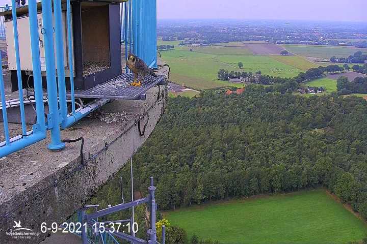 campics vanaf 1 juli © VWGGemert en bonusjes van ter plekke - Pagina 24 V6
