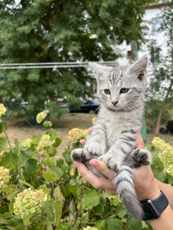 7317C54F-92A7-406A-805D-2F9239EAD600