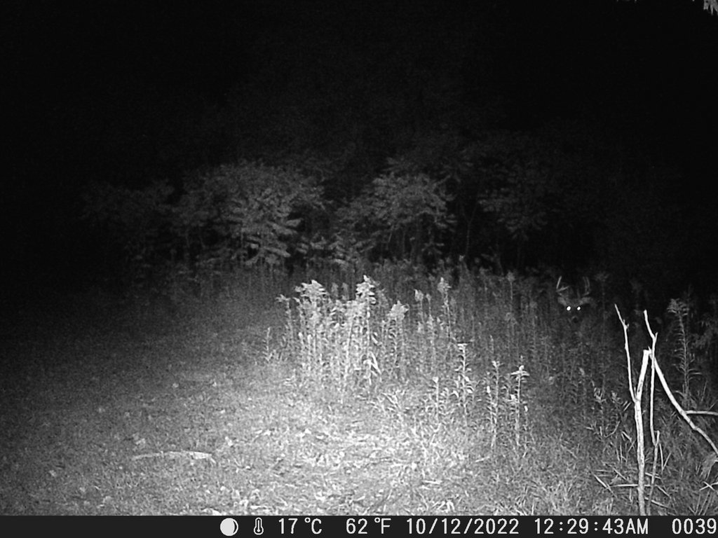 A8BCB9CB-FF96-4883-8B56-DE090E9380B2