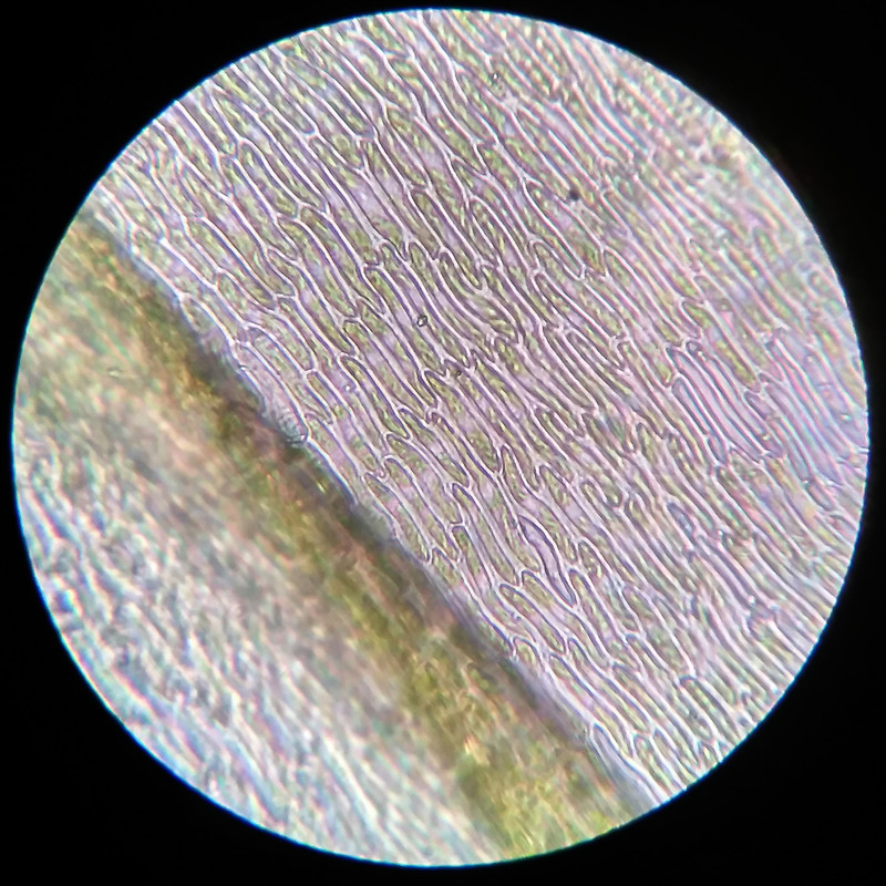 IMG 20250616 211119 HDR