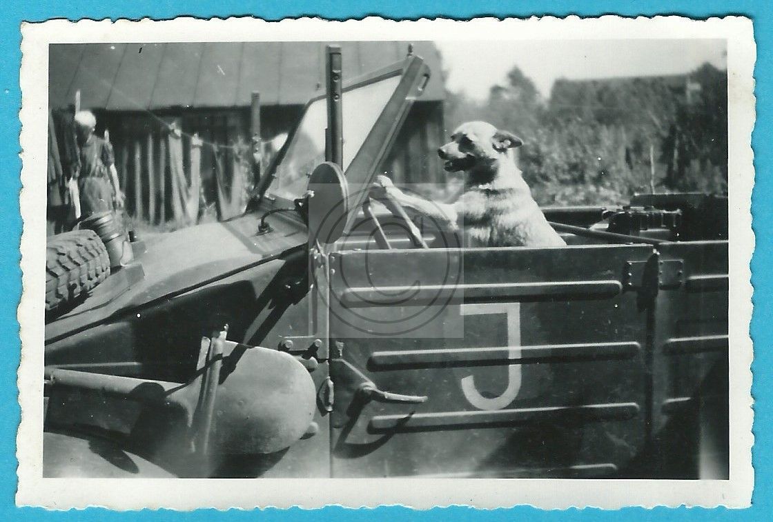 Panzer, Tank, Regiment GD, Instandsetzung, Kübel