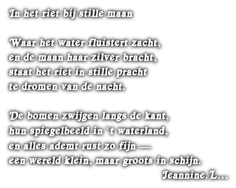 cooltext503400119782442