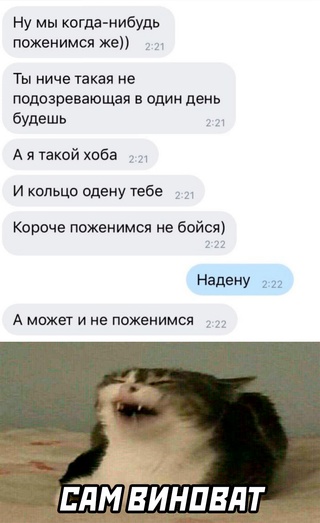 17181469.jpg