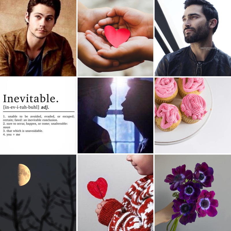Sterek VF