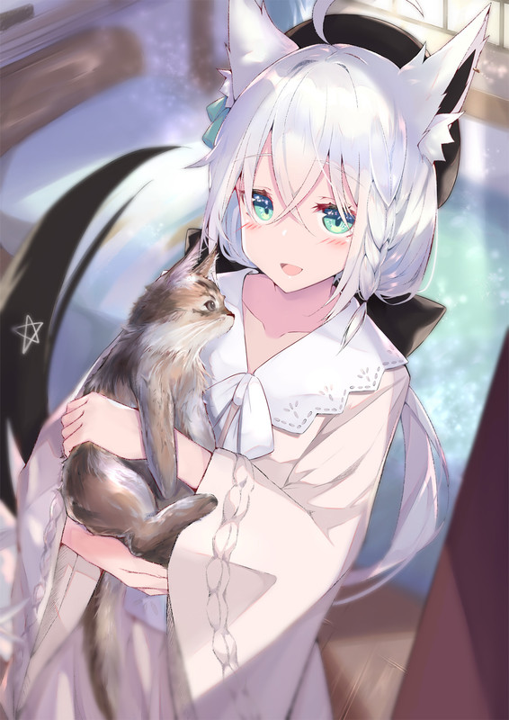 shirakami-fubuki-hololive-drawn-by-kikuragetom-082aaa6cd7337782d688b630d71d128d-copy