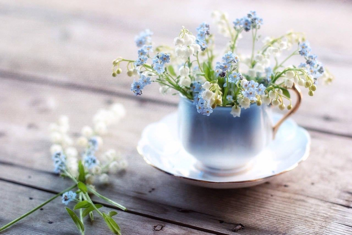 79C503E9-4746-4693-9B47-EEFE040759F4