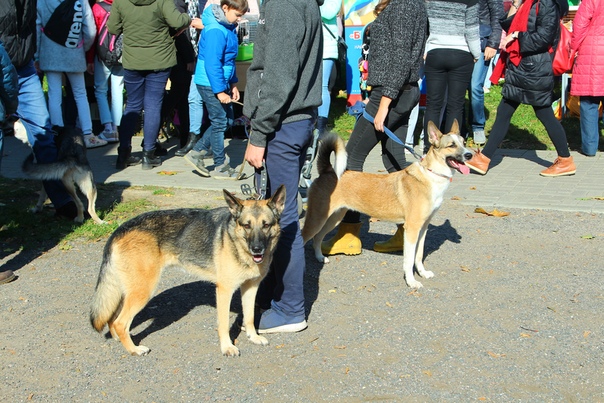 6CE4747E-2F4E-4B23-B3DE-C22F626C7C54