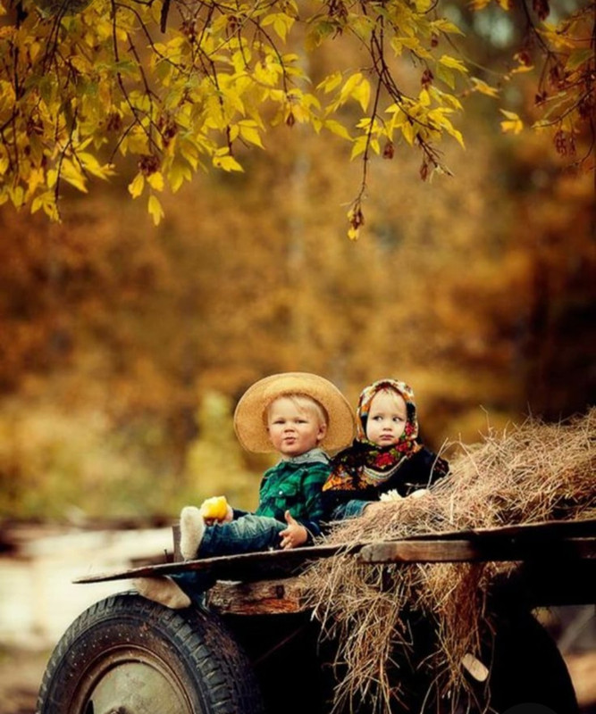 Screenshot_20230219_192116_Pinterest