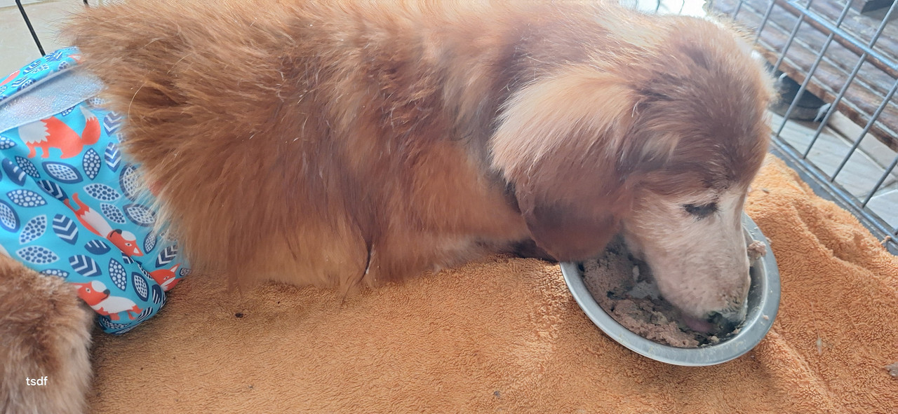 [Image: 20250308-105512.jpg]