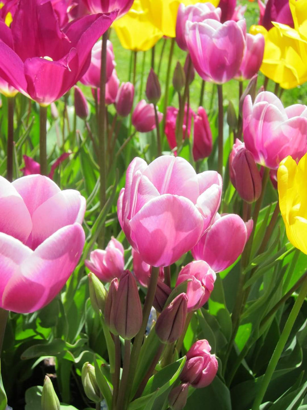 FB-IMG-1699734865341