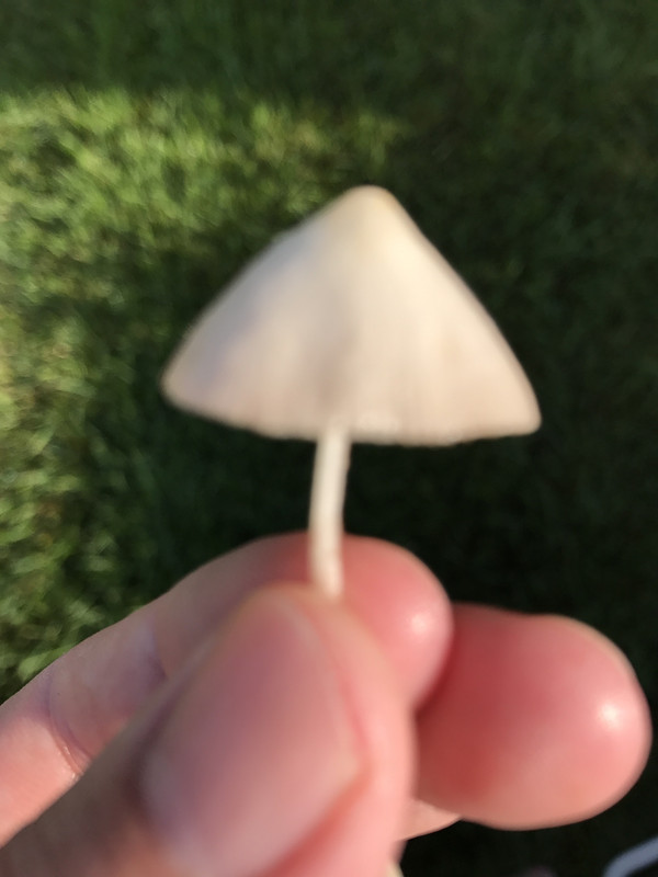 649E2702-196C-48D8-8B37-FD2AF4B00BB7