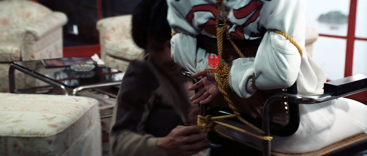 Brigitte Lin 11 - Police Story 1985